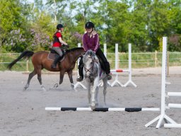 2009 Springundervisning